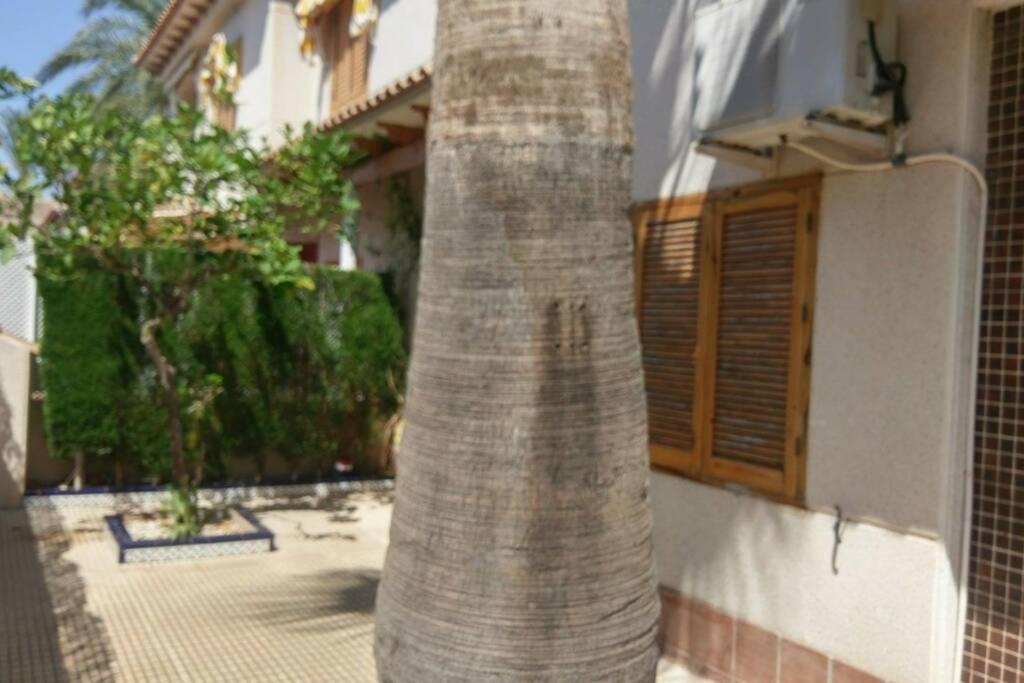 La Casa De La Palmera Apartment Торевиеха Екстериор снимка